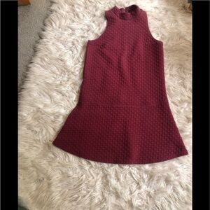 Abercrombie & Fitch Burgundy Skater Dress